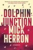 Dolphin_Junction__Stories