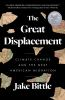 The_great_displacement