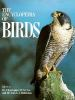 The_Encyclopedia_of_birds