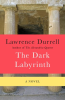 The_dark_labyrinth