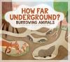 How_Far_Underground___Burrowing_Animals