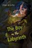 The_boy_in_the_labyrinth