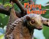 Flying_lemur