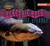 Electric_eels_are_strange