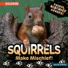 Squirrels_make_mischief_