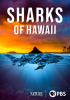 Sharks_of_Hawaii