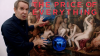 Price_of_Everything