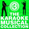 The_Karaoke_Musical_Collection