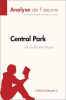 Central_Park_de_Guillaume_Musso__Analyse_de_l_oeuvre_