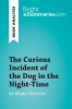 The_Curious_Incident_of_the_Dog_in_the_Night-Time_by_Mark_Haddon__Book_Analysis_