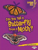 Can_you_tell_a_butterfly_from_a_moth_